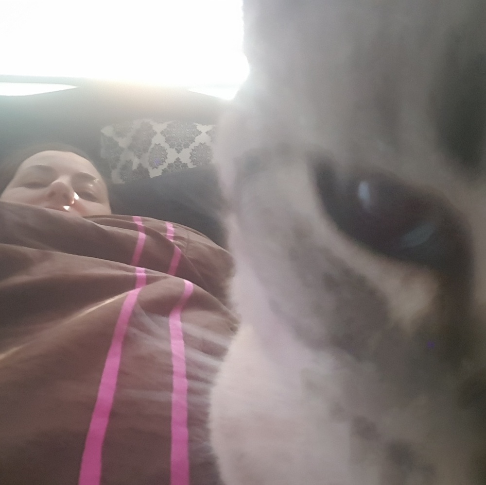 Meet your Posher, Mirnesa